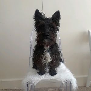 Meet your Posher, Sherry